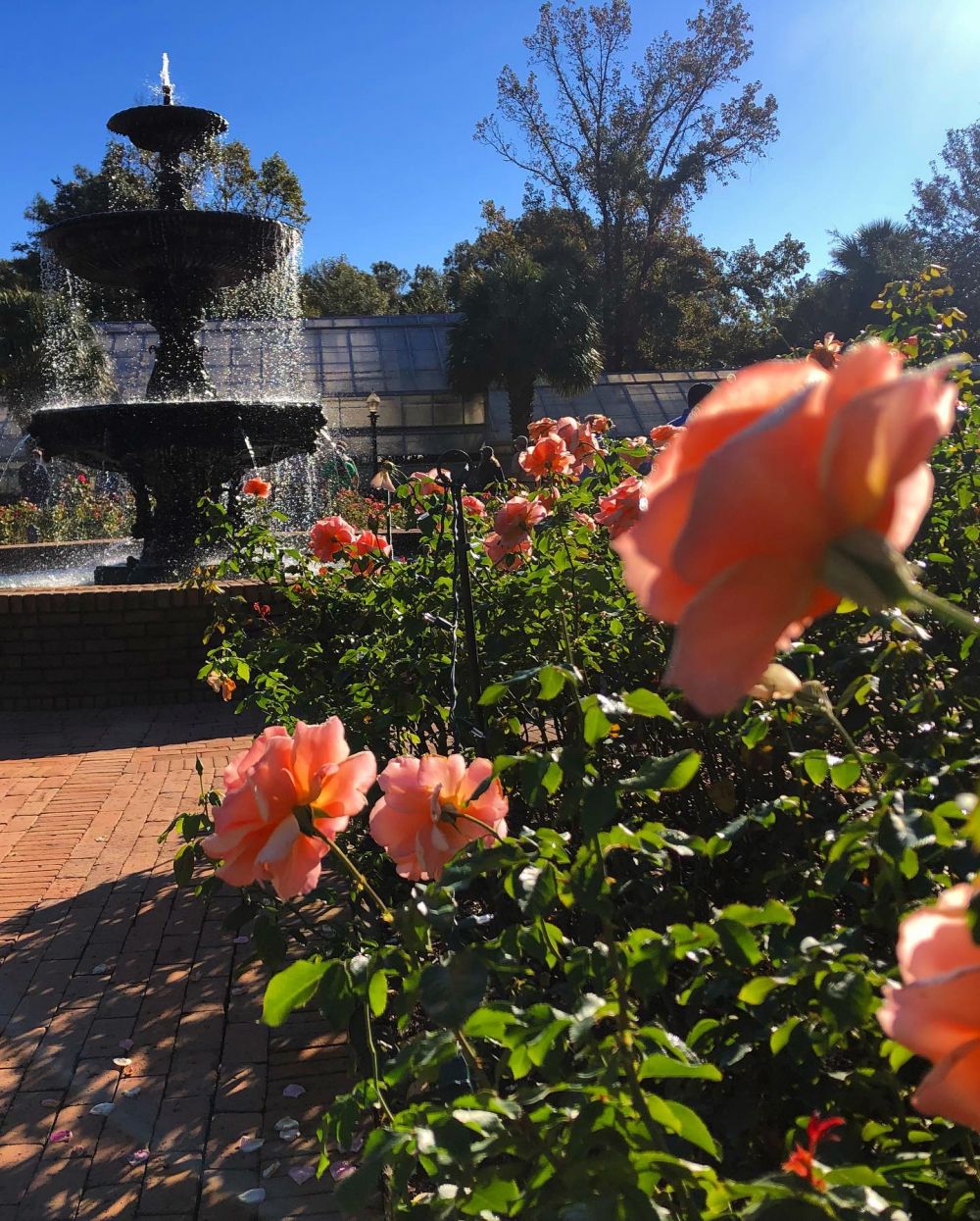 Tuesday Tours: Bellingrath Gardens and Home, Theodore, AL